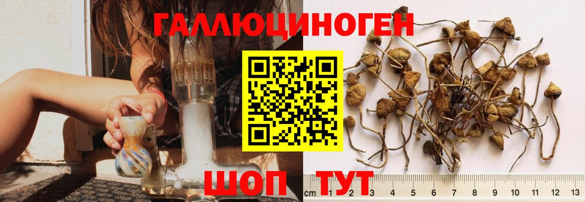 Советский  Галлюциногенные грибы Psilocybe  Вход с VPN 